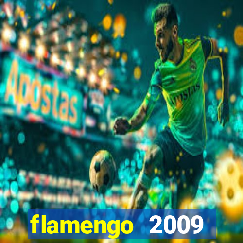 flamengo 2009 campeonato brasileiro