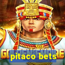 pitaco bets