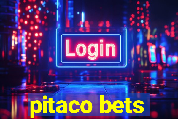 pitaco bets