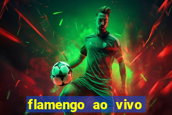 flamengo ao vivo multi tv