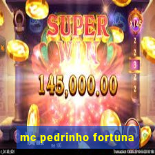 mc pedrinho fortuna