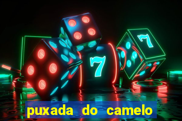 puxada do camelo jogo do bicho