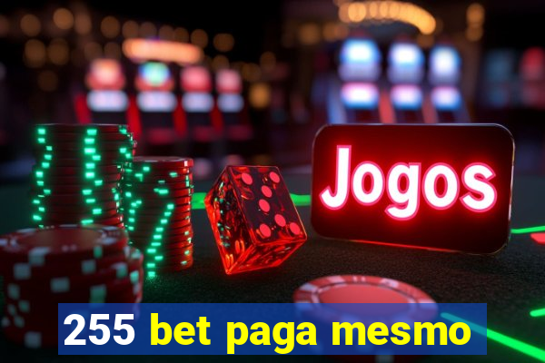 255 bet paga mesmo