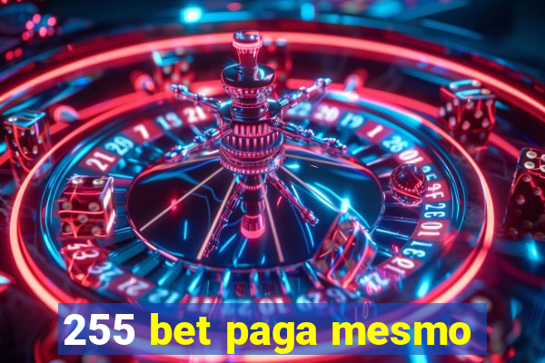 255 bet paga mesmo