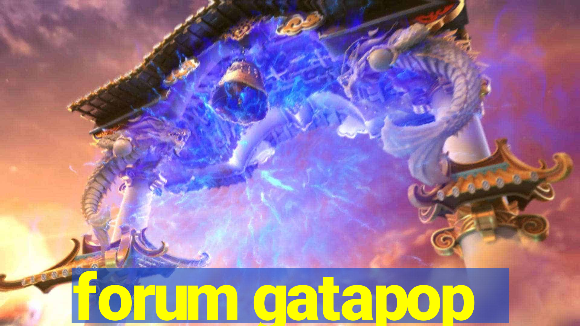 forum gatapop