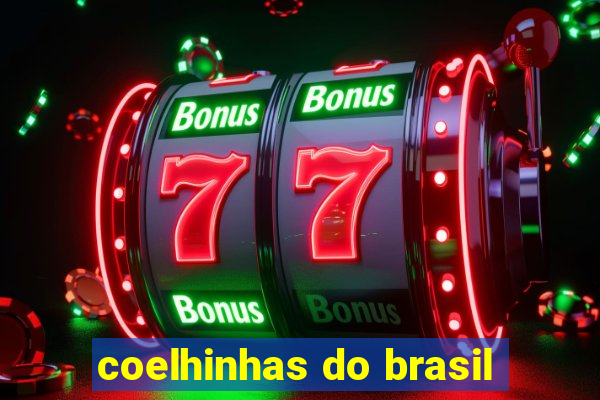 coelhinhas do brasil